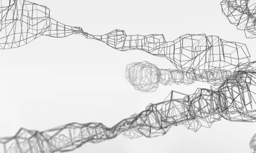 Xarxa Catalana pel Dret al Temps